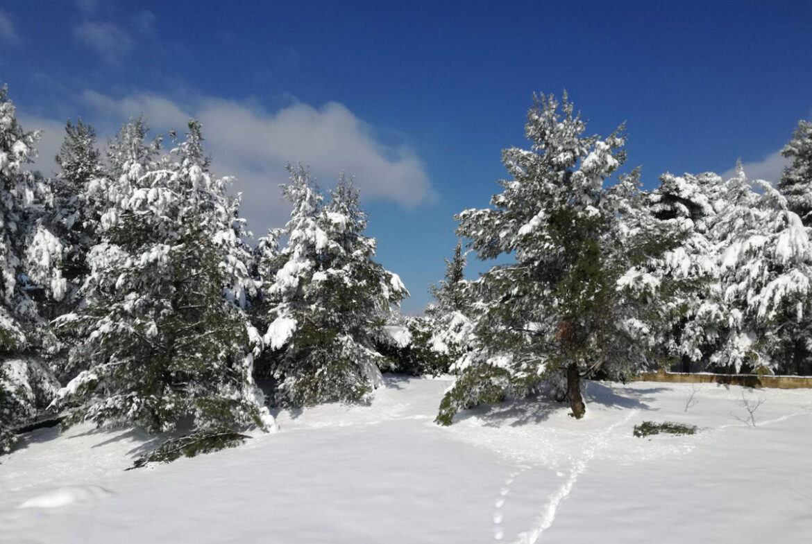 Holzhaus im Schnee bei Athen