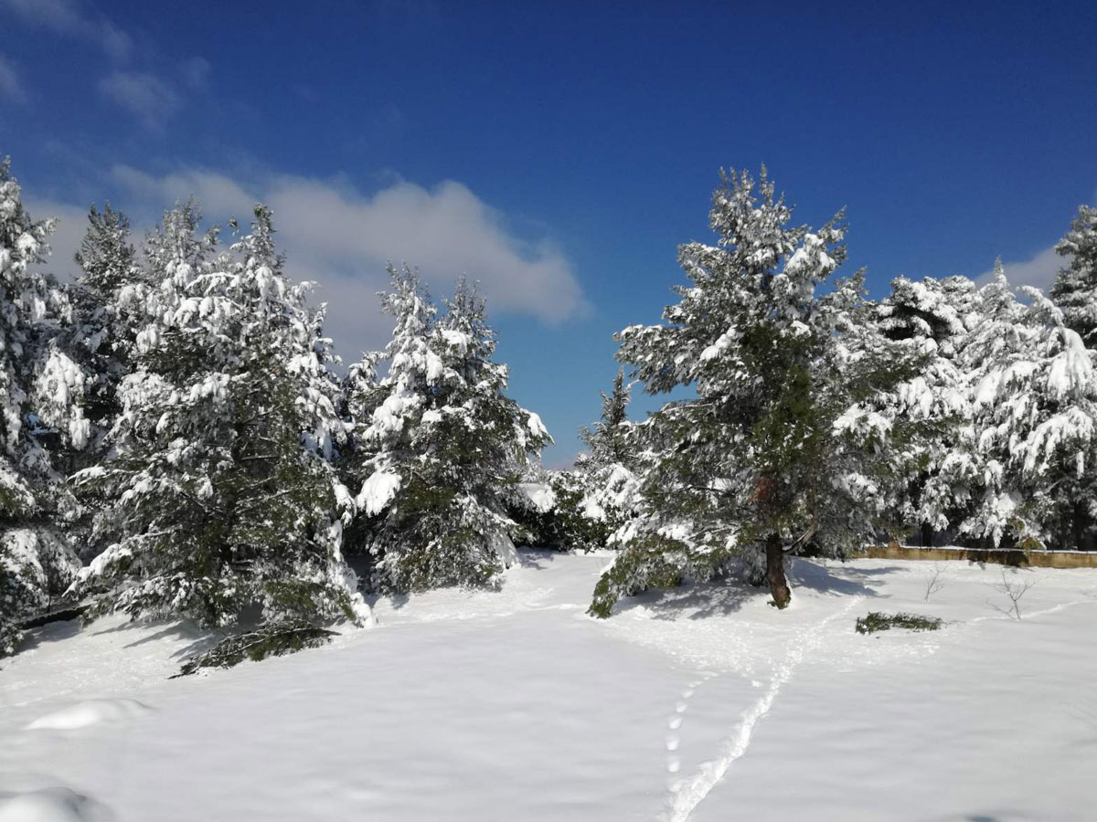 Holzhaus im Schnee bei Athen