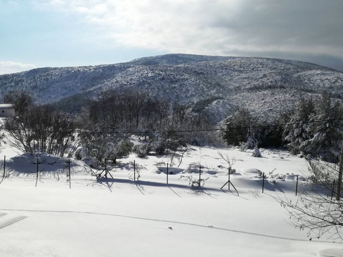 Kaufen Haus neben dem Schnee zum Skifahren