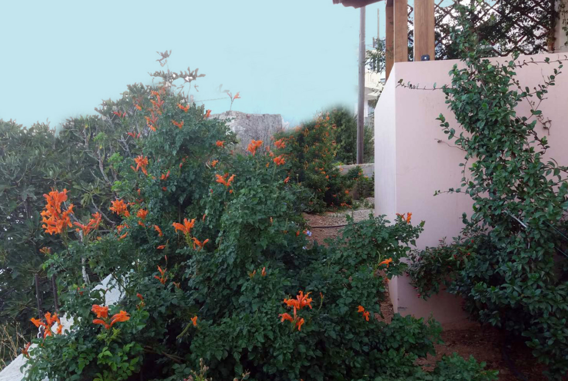 Veranda mit Blick in den Garten