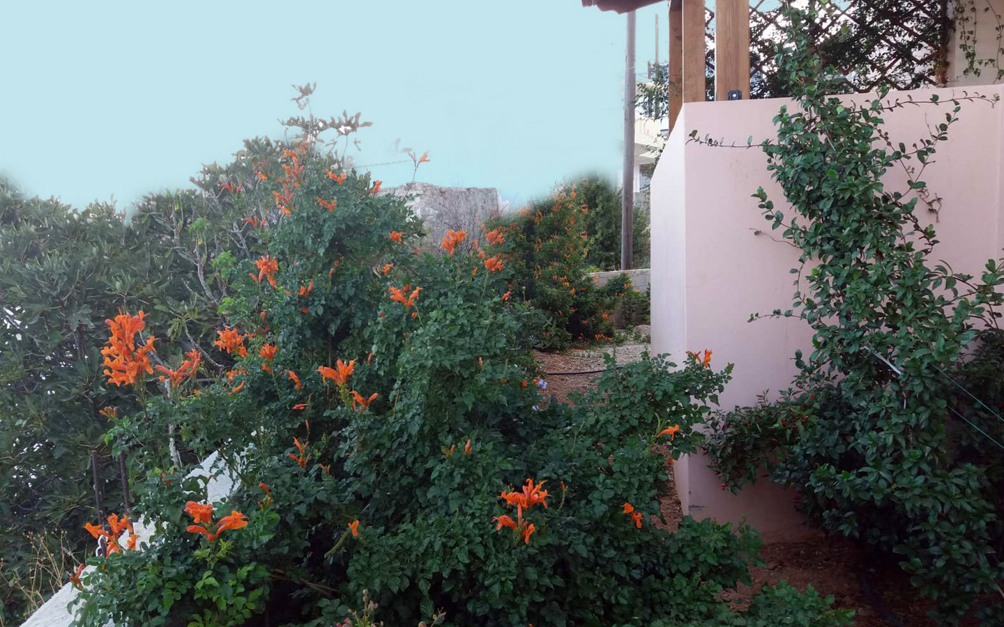 Veranda mit Blick in den Garten